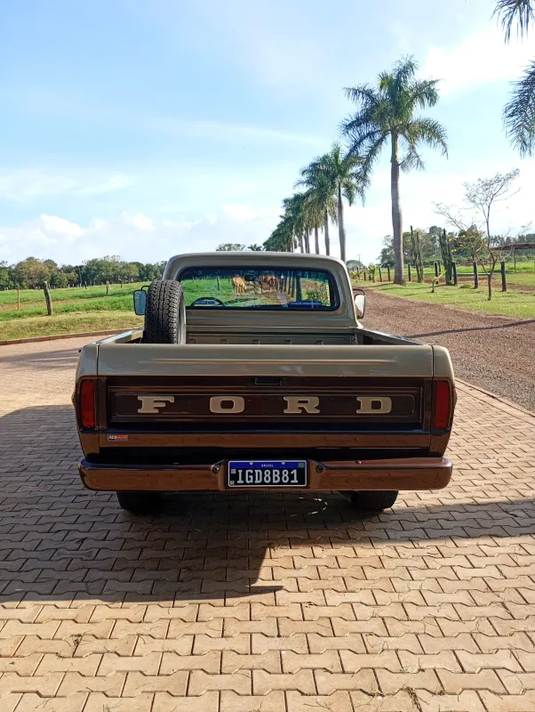 avv-ford-f1000-venda-530f0e8-imagem-012