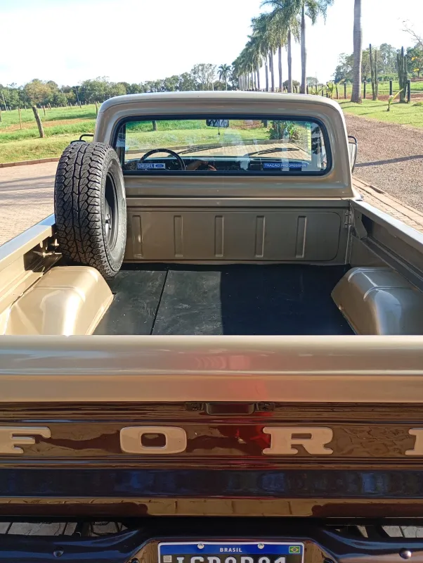 avv-ford-f1000-venda-530f0e8-imagem-013