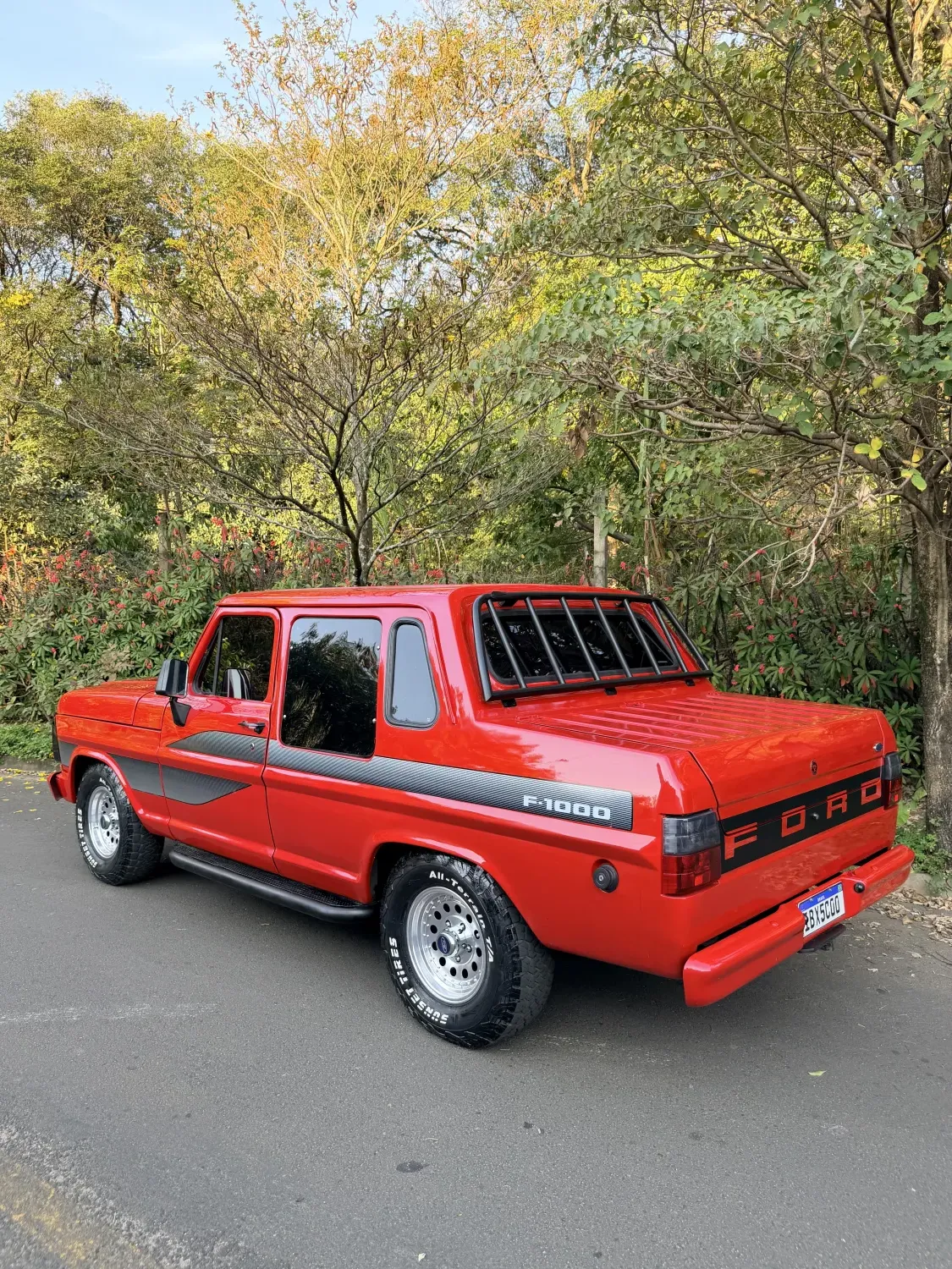 avv-ford-f1000-venda-a300b94-imagem-002