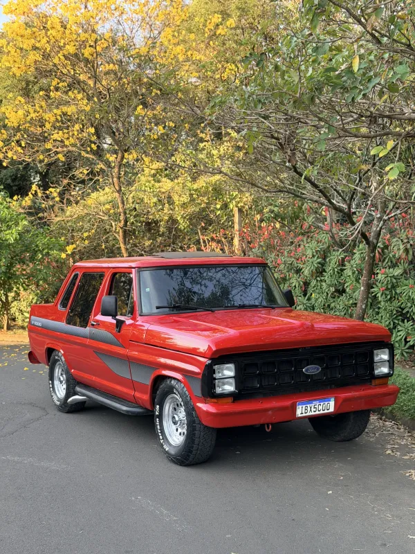 avv-ford-f1000-venda-a300b94-imagem-005