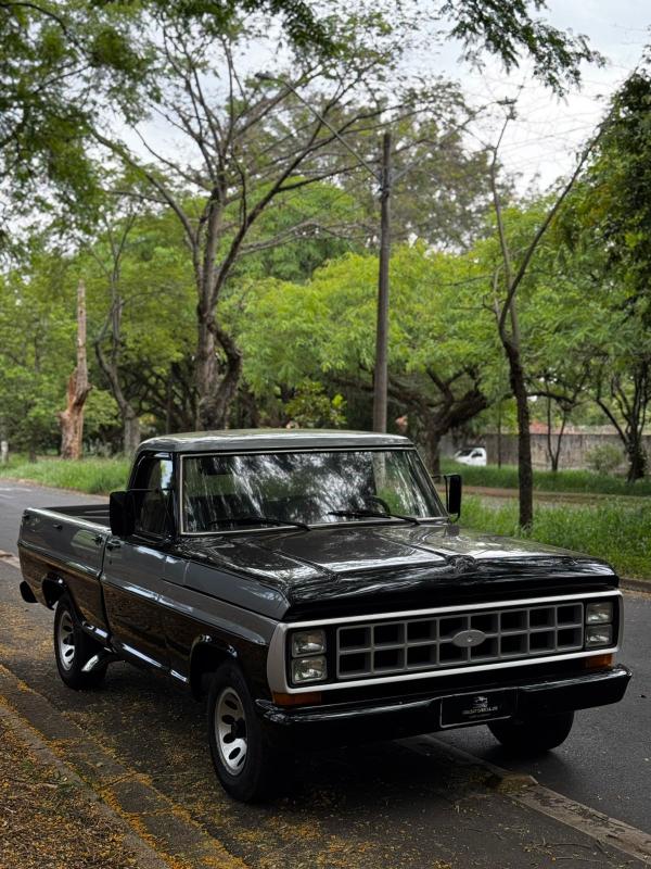 F1000 - Foto #2 do anúncio à venda de Carro clássico