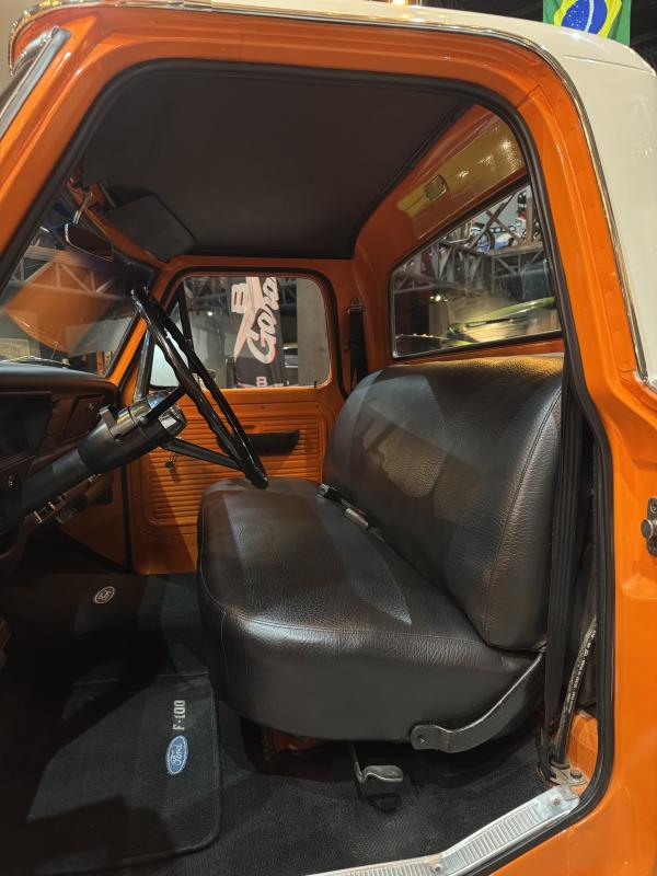 avv-ford-f100venda-tsyn0vl-imagem-008