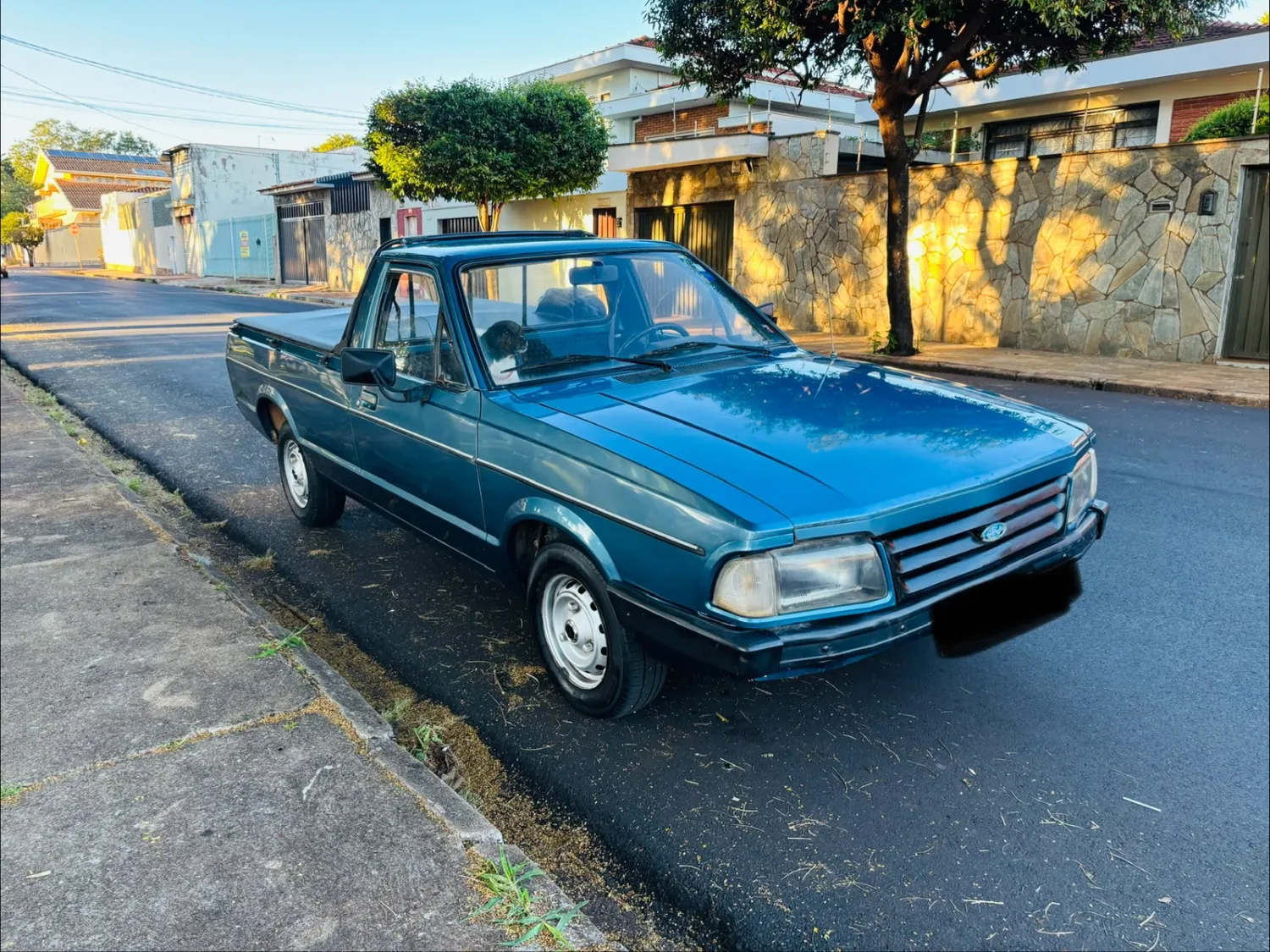 avv-ford-pampa-l-venda-opkc16q-imagem-007