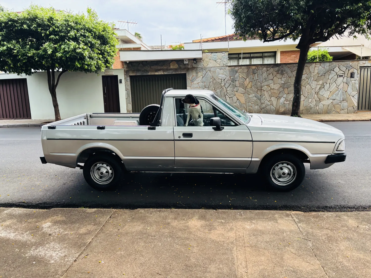 avv-ford-pampa-venda-58e6164-imagem-004