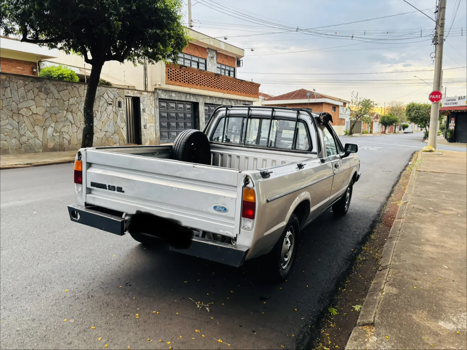 avv-ford-pampa-venda-58e6164-imagem-005