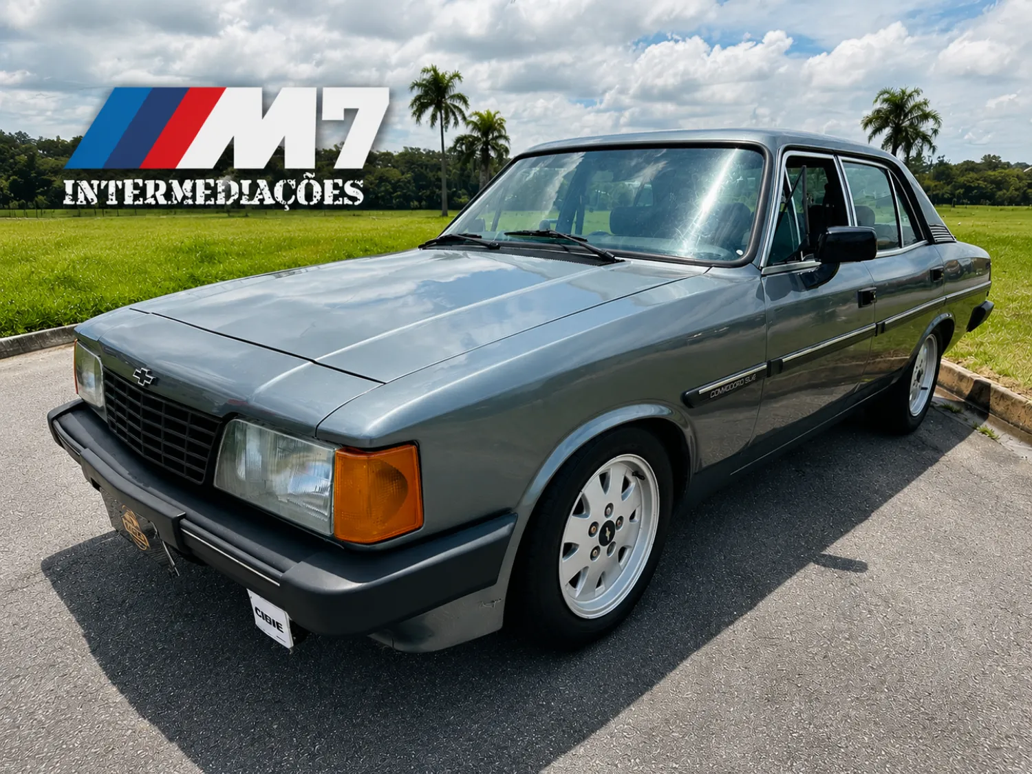 avv-opala-comodoro-sl-e-89-90-nhu6jef-imagem-003