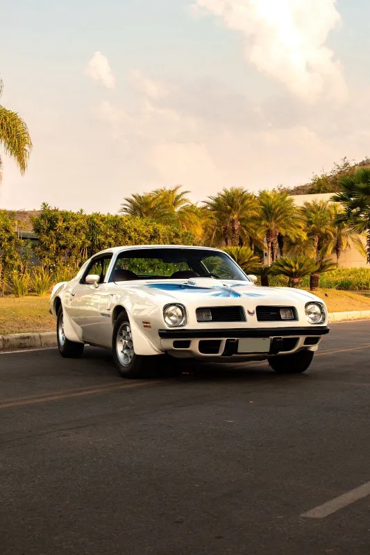 Firebird - Foto #3 do anúncio à venda de Carro clássico