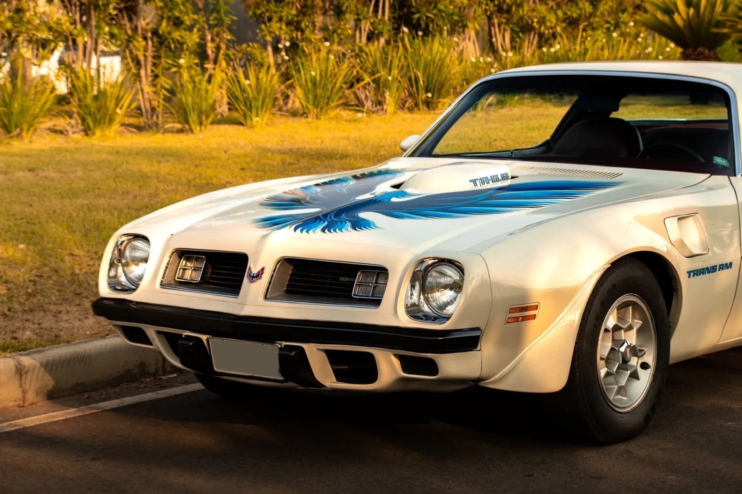 Firebird - Foto #5 do anúncio à venda de Carro clássico
