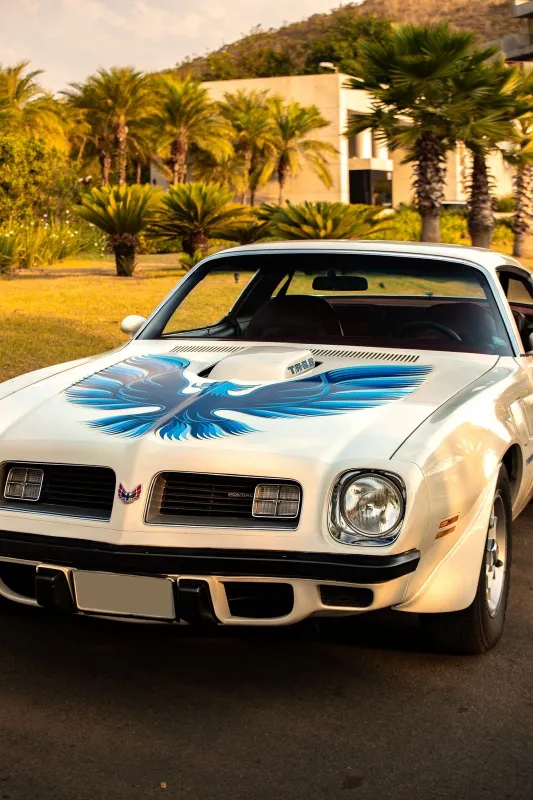 Firebird - Foto #6 do anúncio à venda de Carro clássico