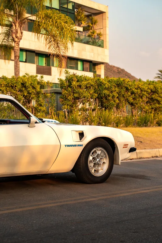 Firebird - Foto #17 do anúncio à venda de Carro clássico