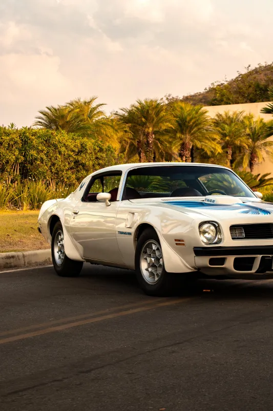Firebird - Foto #21 do anúncio à venda de Carro clássico