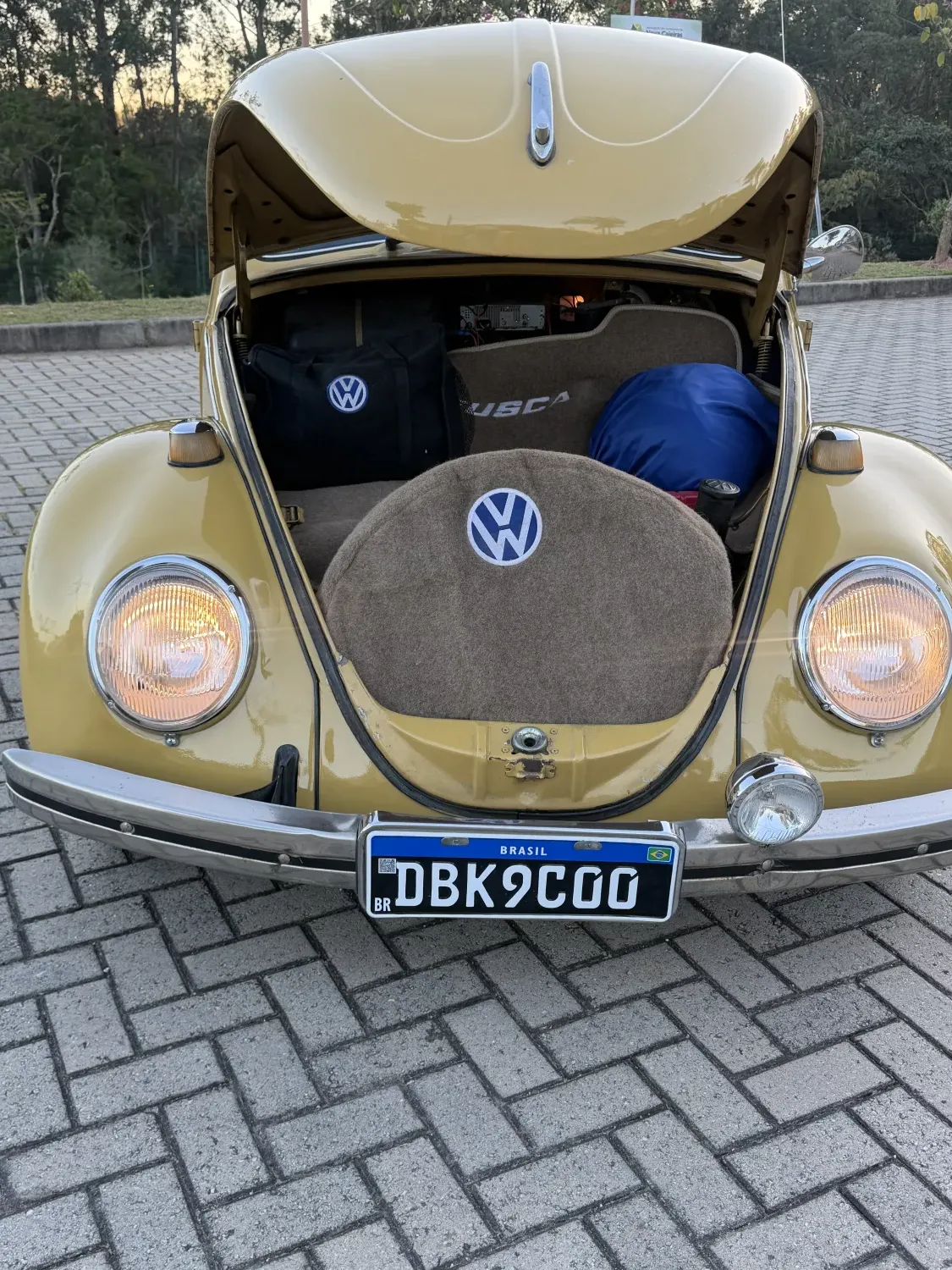 avv-volkswagen-fusca-venda-2327730-imagem-009