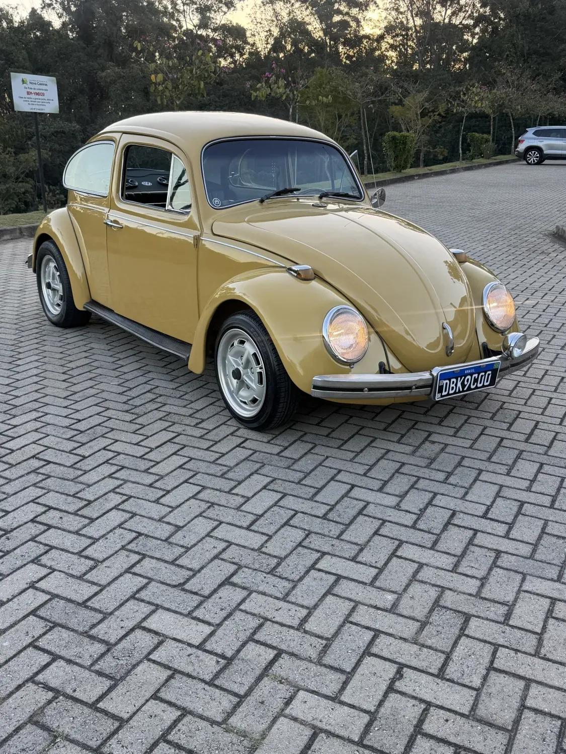 avv-volkswagen-fusca-venda-2327730-imagem-010