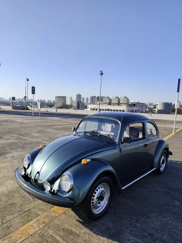 avv-volkswagen-fusca-venda-312585b-imagem-001