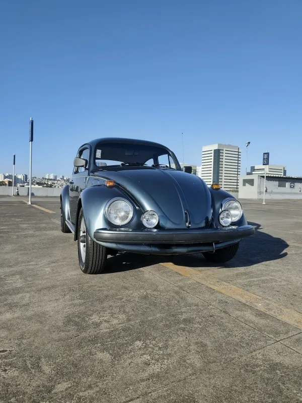 avv-volkswagen-fusca-venda-312585b-imagem-002