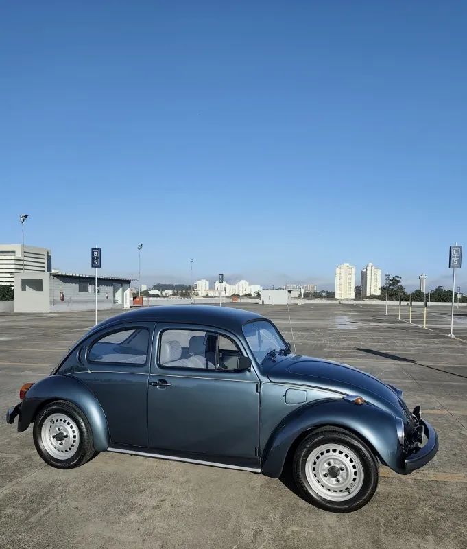 avv-volkswagen-fusca-venda-312585b-imagem-004