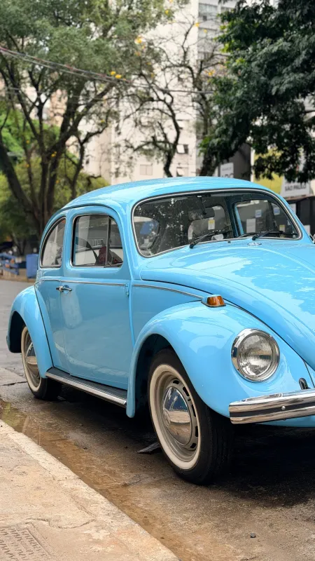 avv-volkswagen-fusca-venda-772553b-imagem-003