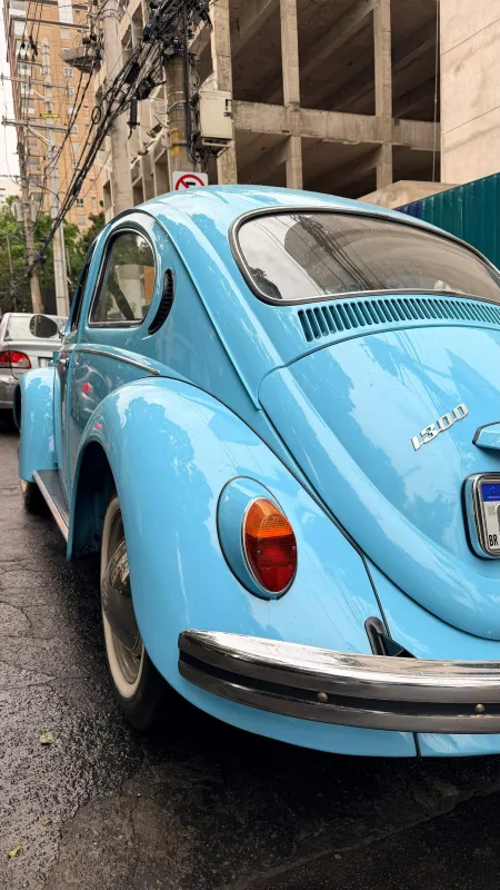avv-volkswagen-fusca-venda-772553b-imagem-010