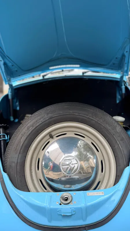 avv-volkswagen-fusca-venda-772553b-imagem-016