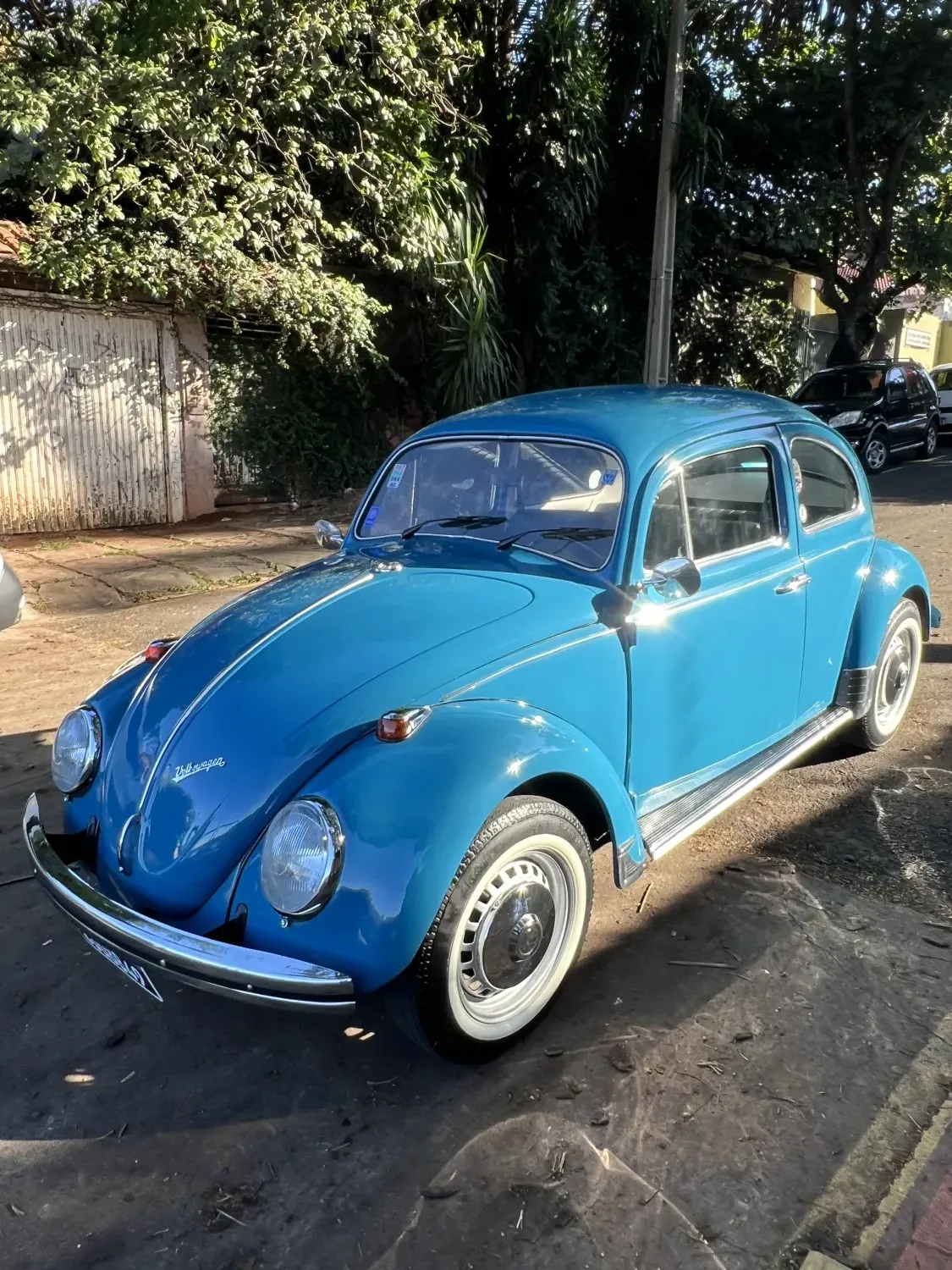 avv-volkswagen-fusca-venda-d0e72cd-imagem-009