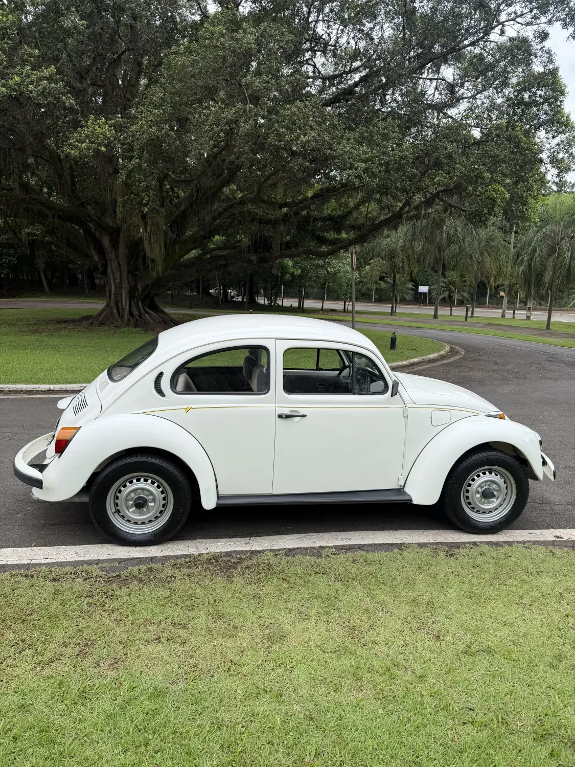 avv-volkswagen-fusca-venda-d9527b0-imagem-003