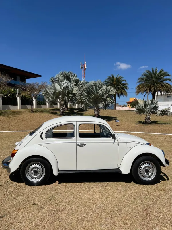 avv-volkswagen-fusca-venda-ea308ad-imagem-008