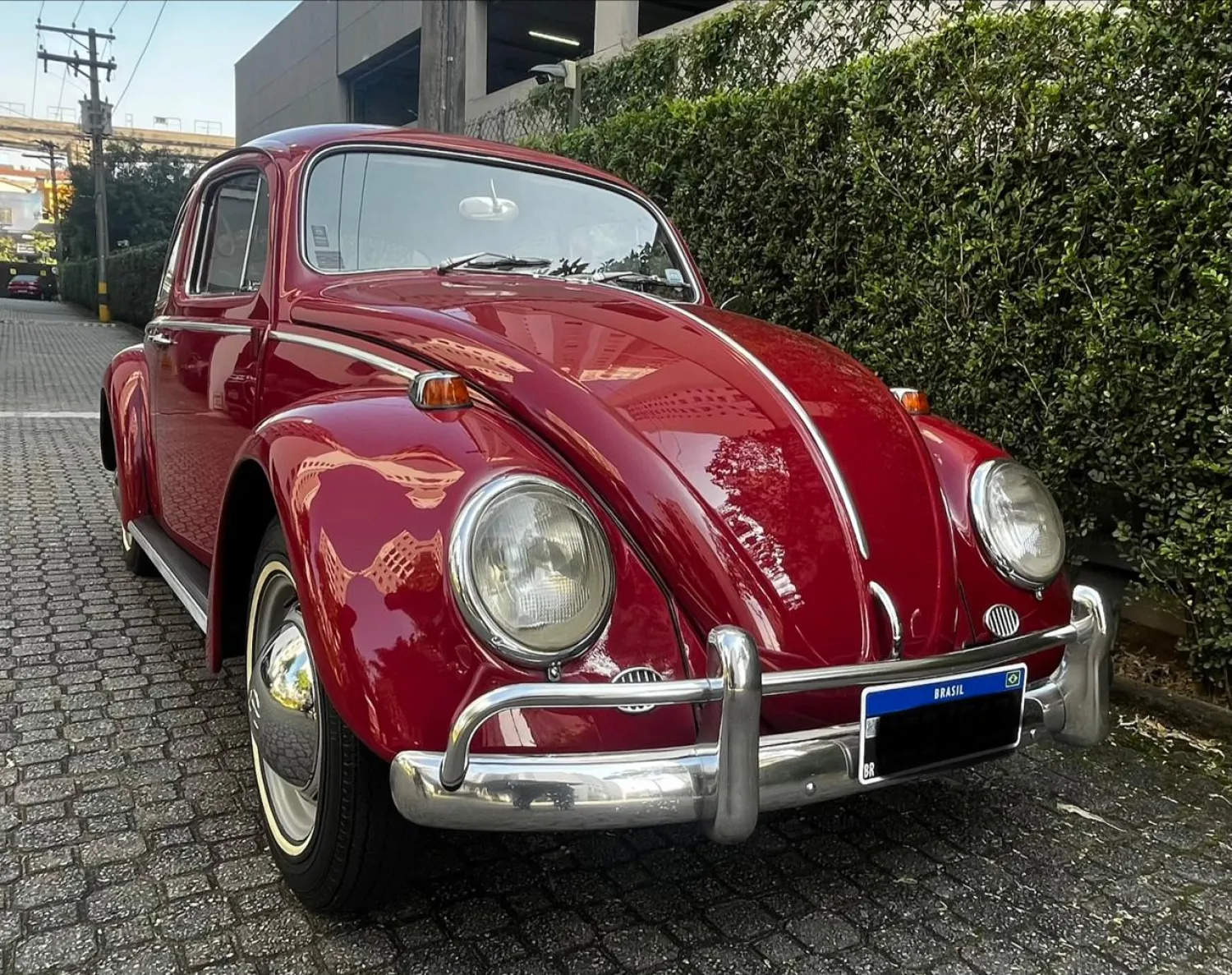 avv-volkswagen-fuscavenda-woszeh0-imagem-001