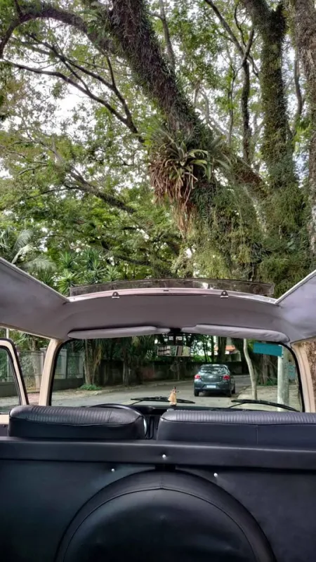 Kombi - Foto #20 do anúncio à venda de Carro clássico
