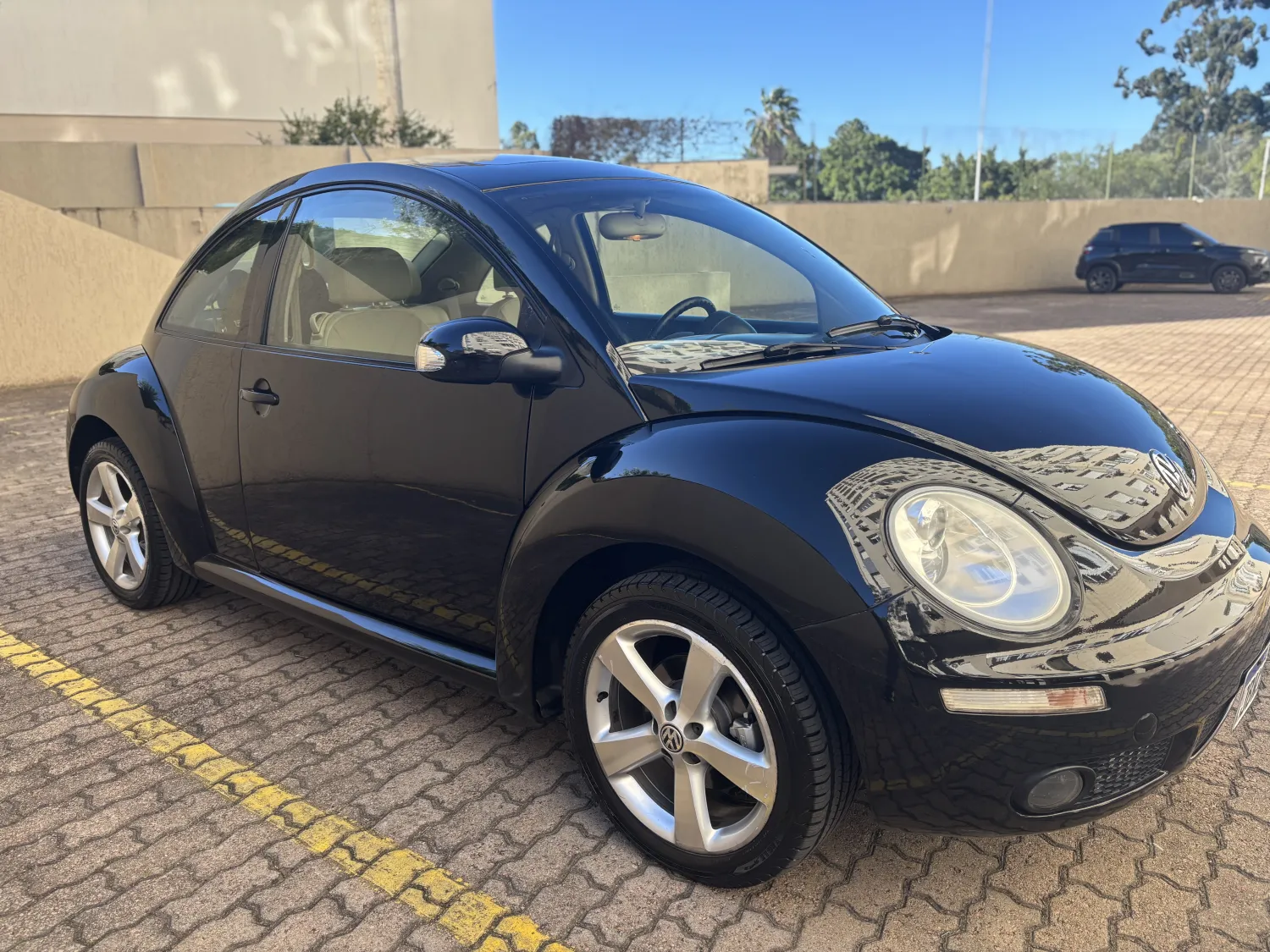 avv-volkswagen-new-beetle-venda-156149c-imagem-011