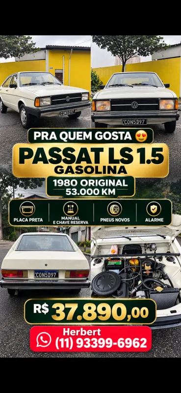 pdb0tyq-imagem-006