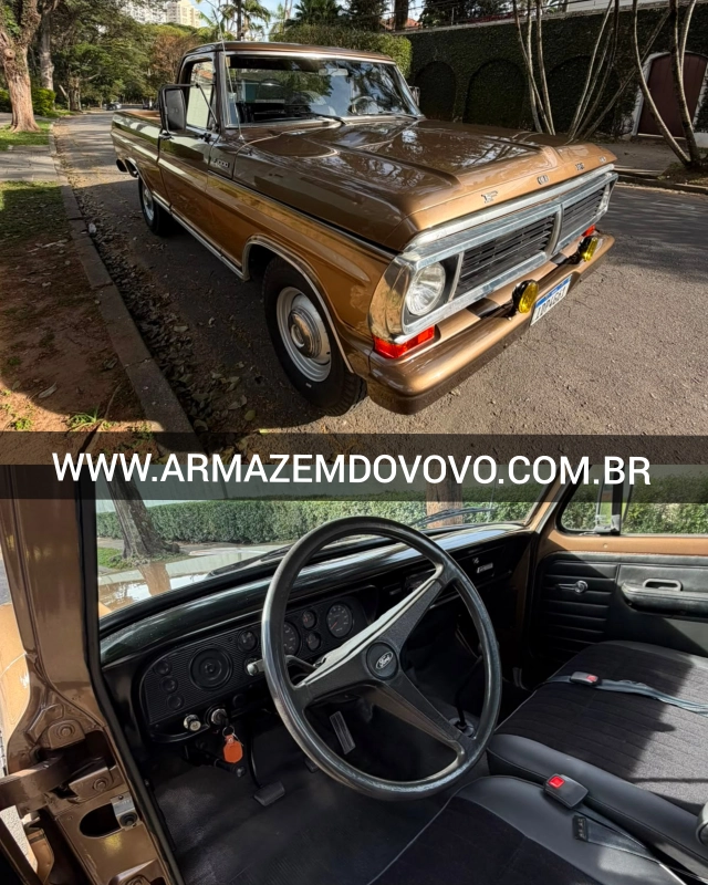 F1000 - Foto #1 do anúncio à venda de Carro clássico