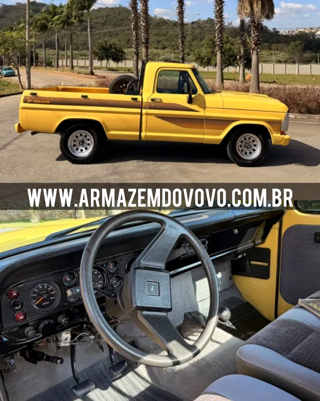 Ford F1000