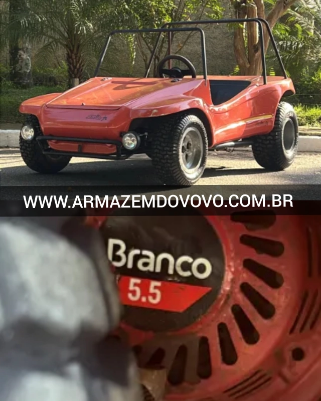 Buggy — Emis Buggy (1988) — Foto principal do anúncio | Armazém do Vovô